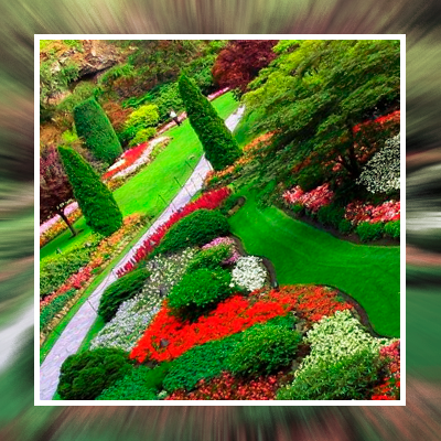 Great Landscaping – St. Tropez Great Landscaping – St. Tropez