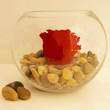 send flowers in Dubai same day